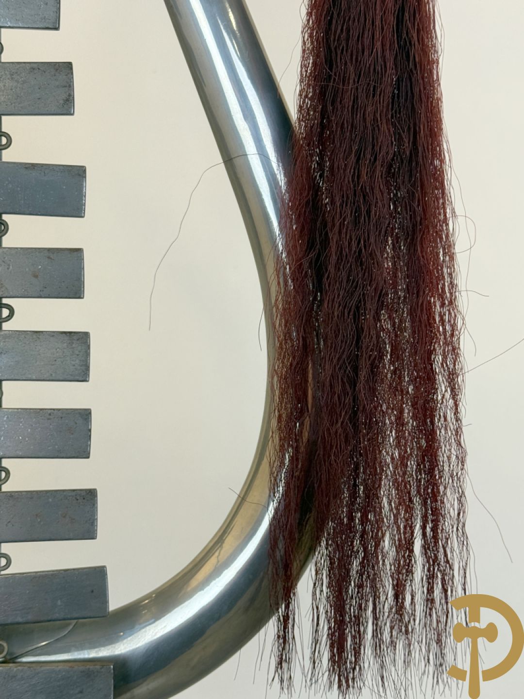 Duitse lyra WW1 bezet met adelaar