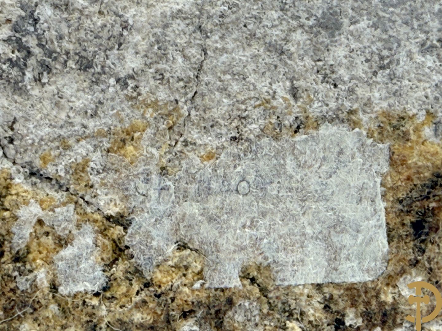 VERMANDERE Willem van 