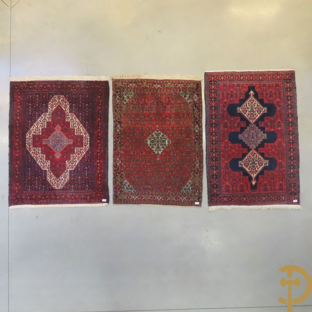 Perzisch handgeknoopt tapijt Senneh + Oosters handgeknoopt Bidjar + Oosters handgeknoopt tapijt Senneh