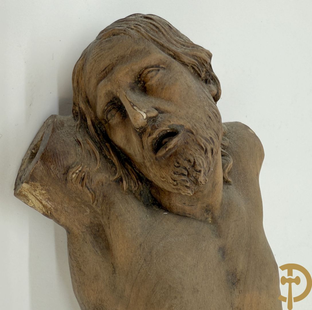 Twee houtgesculpteerde en gepolychromeerde corpussen