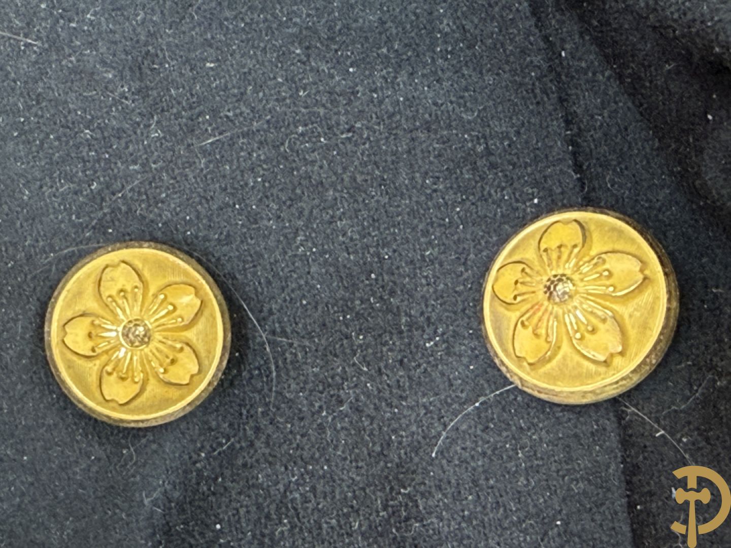 Japans uniform Dareifuku met kepie, epauletten, pluim en bijhorende foto