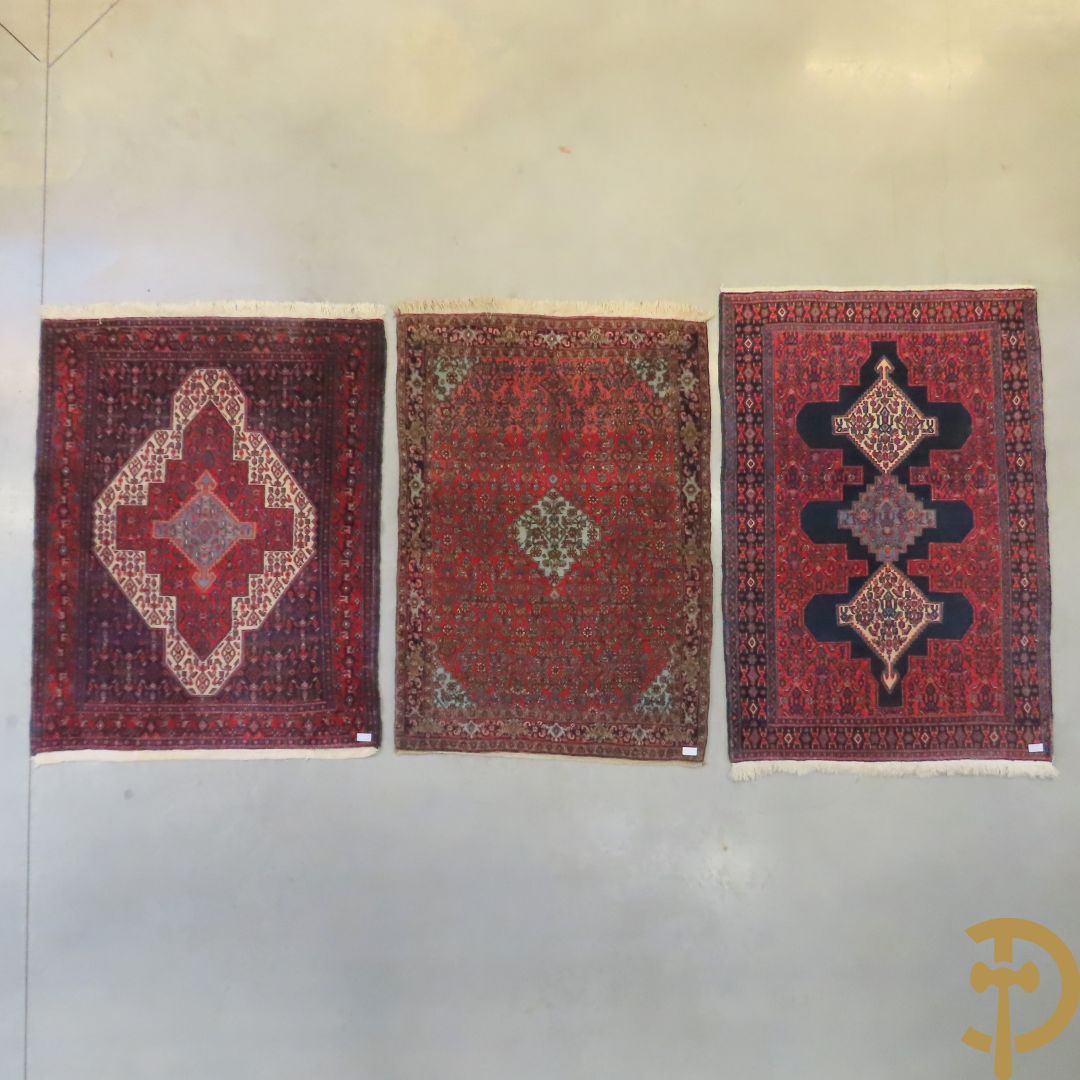 Perzisch handgeknoopt tapijt Senneh + Oosters handgeknoopt Bidjar + Oosters handgeknoopt tapijt Senneh