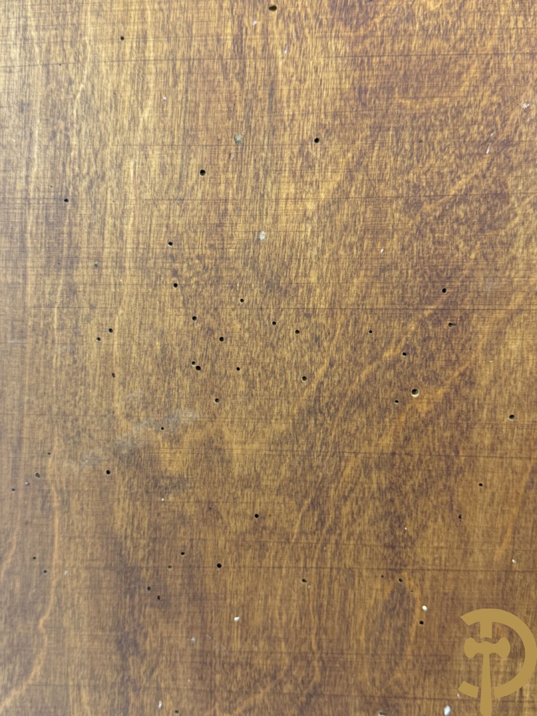 Art Nouveau paneel met pyrografie 