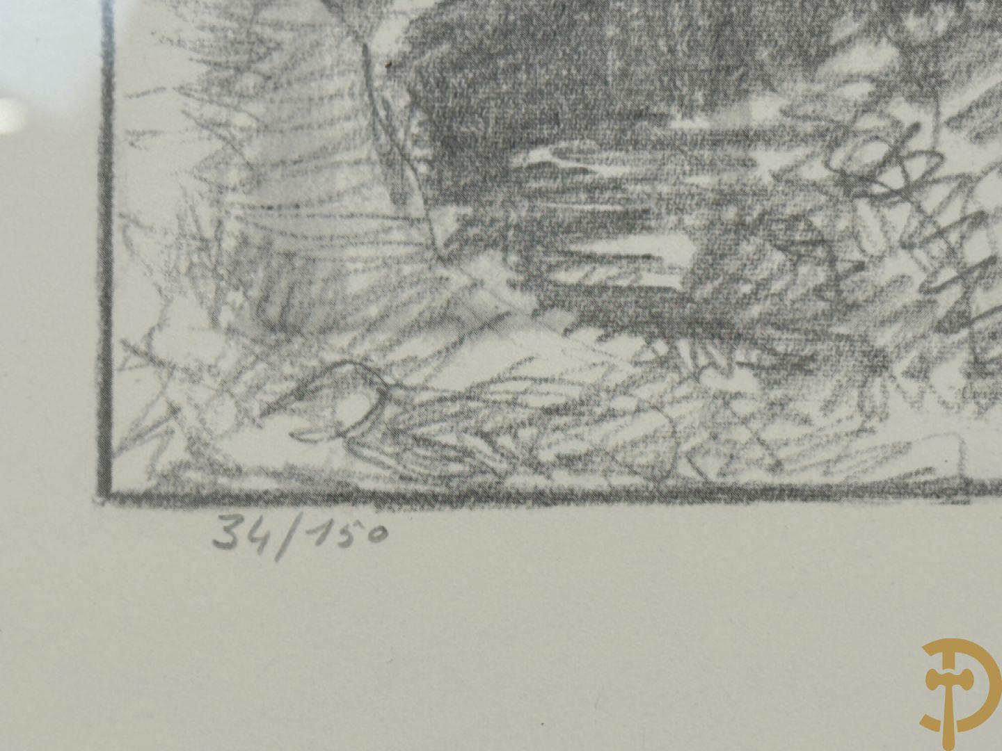 VAN VLAANDEREN Karel 6 juillet 