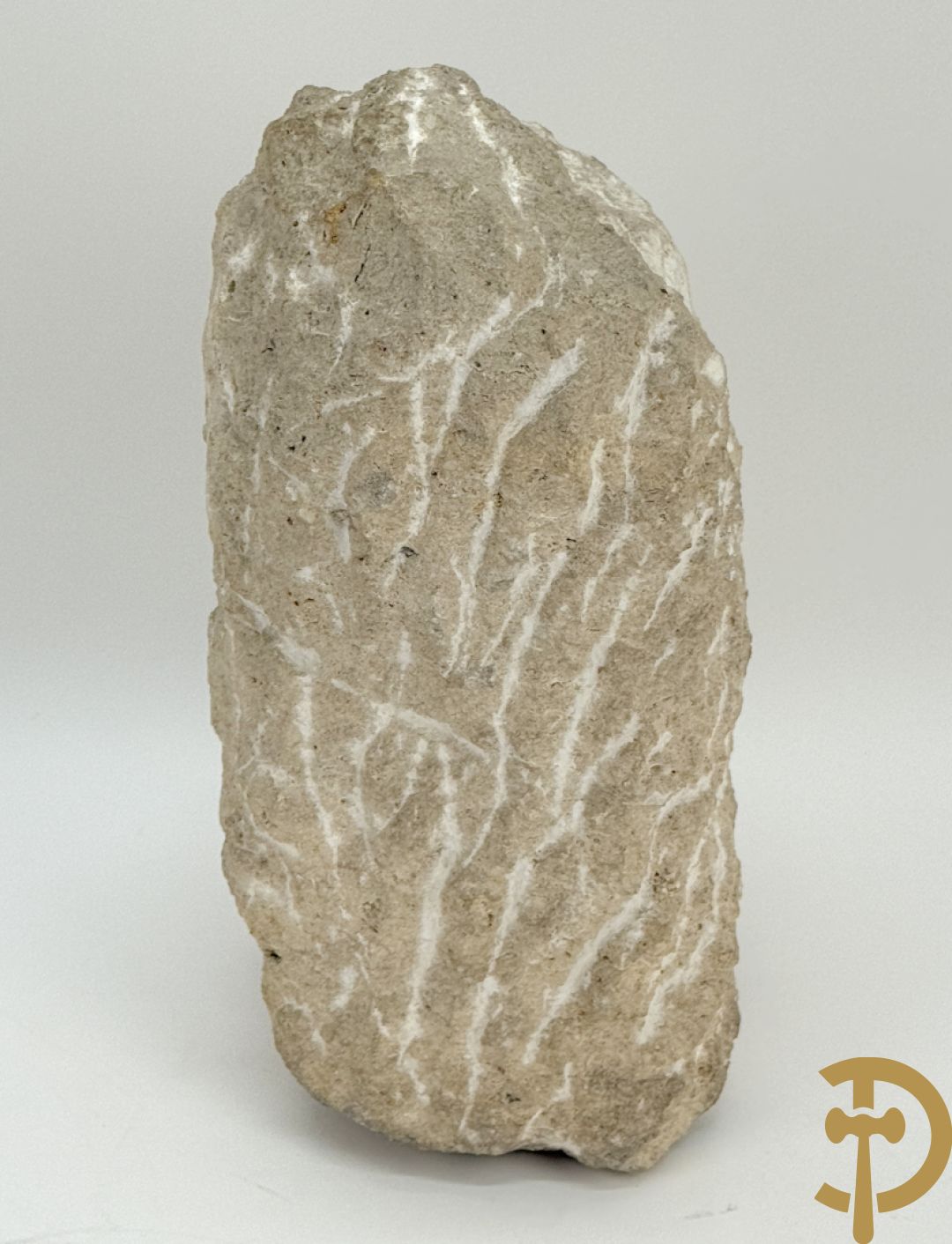 VERMANDERE Willem van 