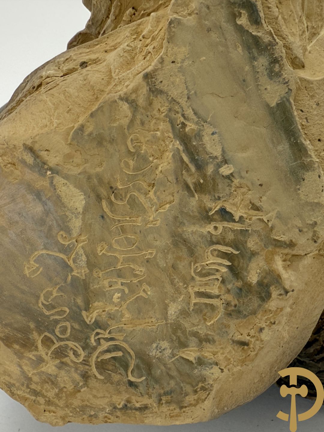 Houtgesculpteerd eiken basrelief karakterkop van man met baard + terra cotta karakterkop van man met baard, achteraan gemerkt Buster 