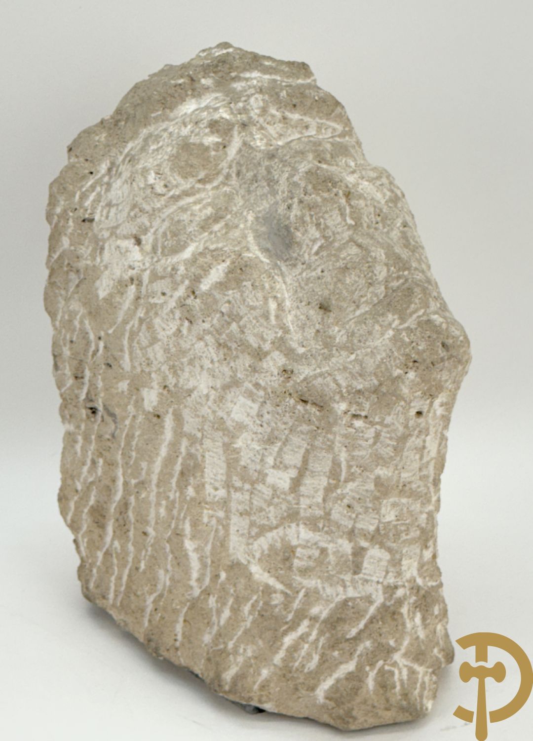 VERMANDERE Willem van 