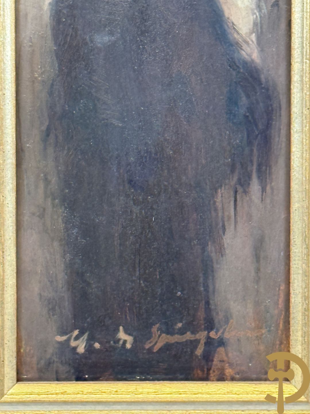 DE SPIEGELEIR getekend 