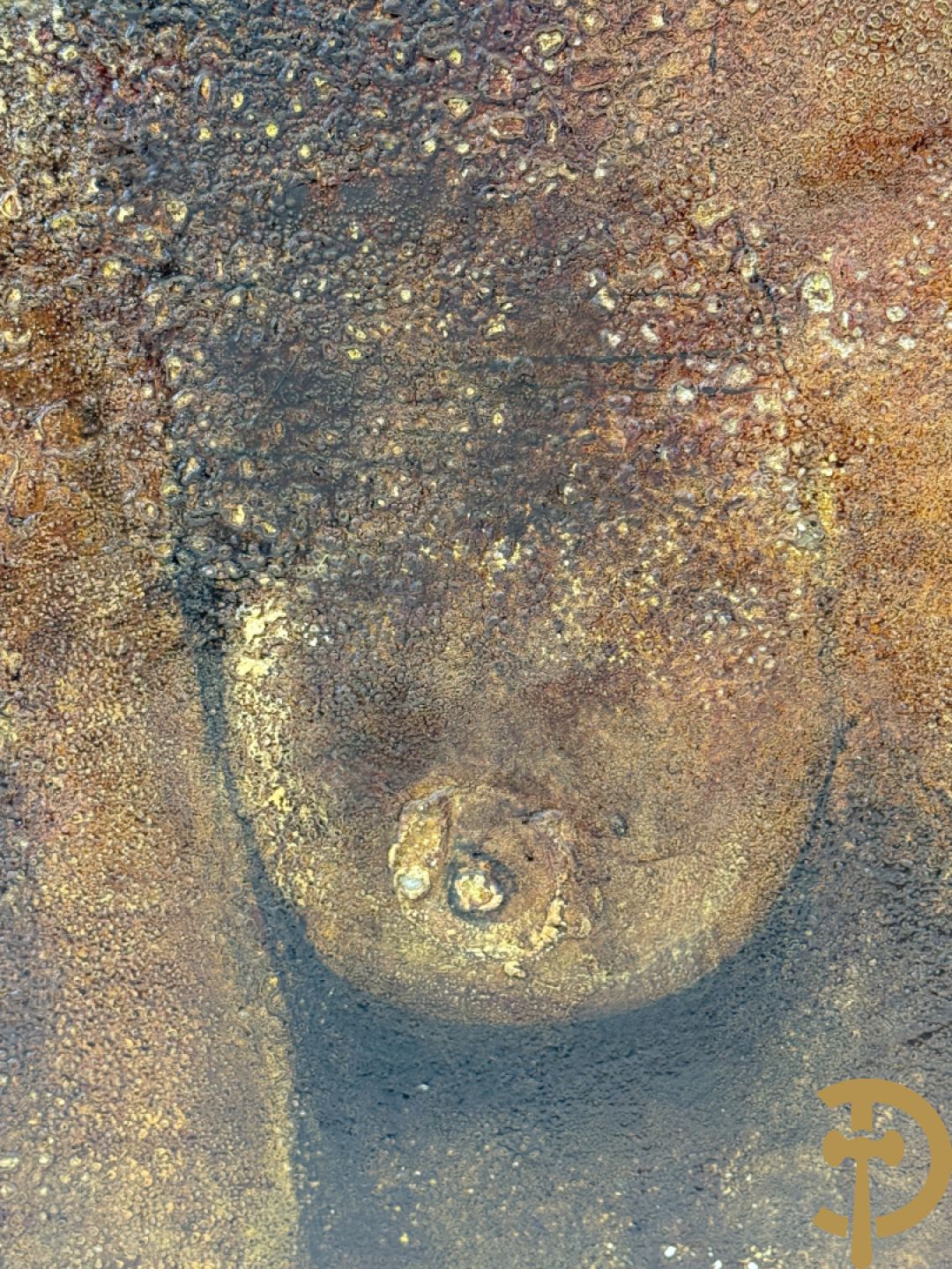 DELTOUR Marc getekend 1977 