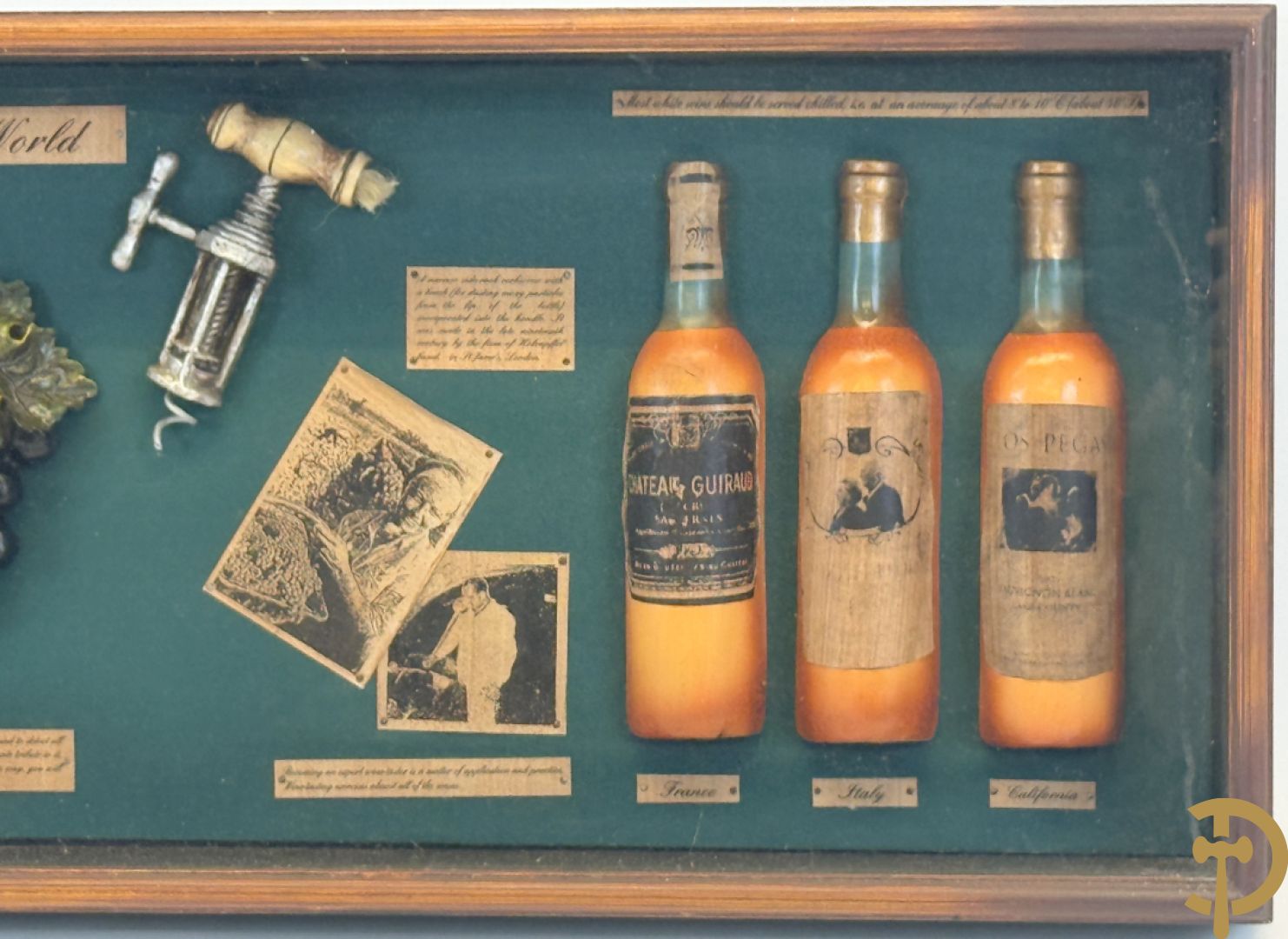 Display Wines of the world, kader met ingelijst decoratieve wijnornamenten