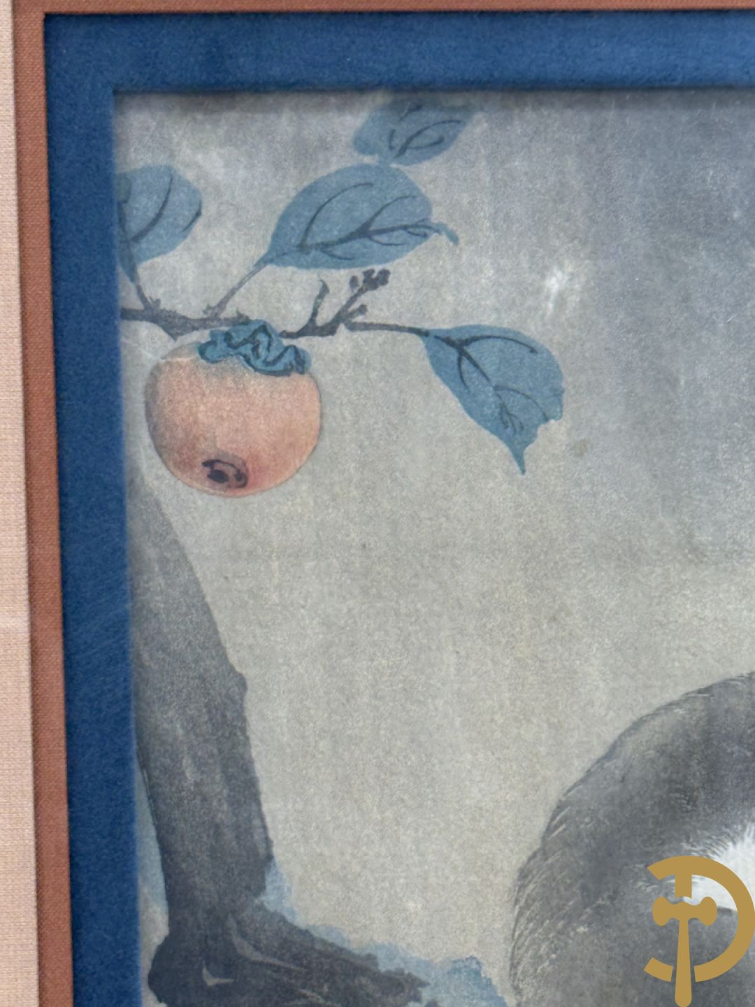 KOSON Ohara getekend 