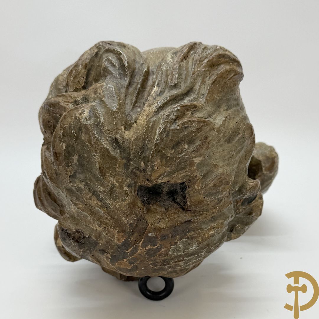 Houtsculptuur van gepolychromeerd engelenhoofd + engelenhoofd + sculptuur van accanthusrank