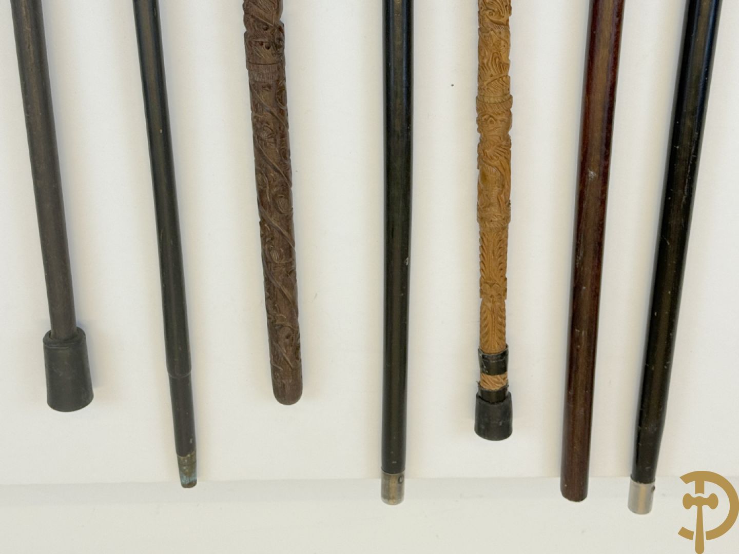 Zeven wandelstokken waaronder 2 met munten, hondenkop, gesculpteerde
