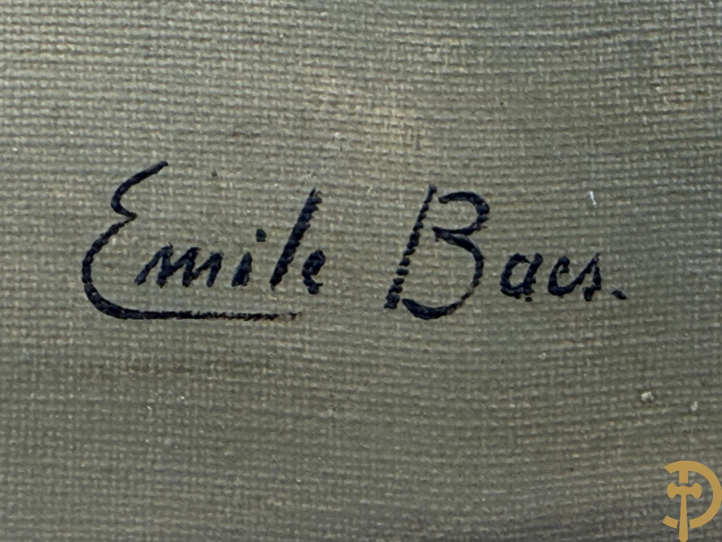 BAES Emile getekend 