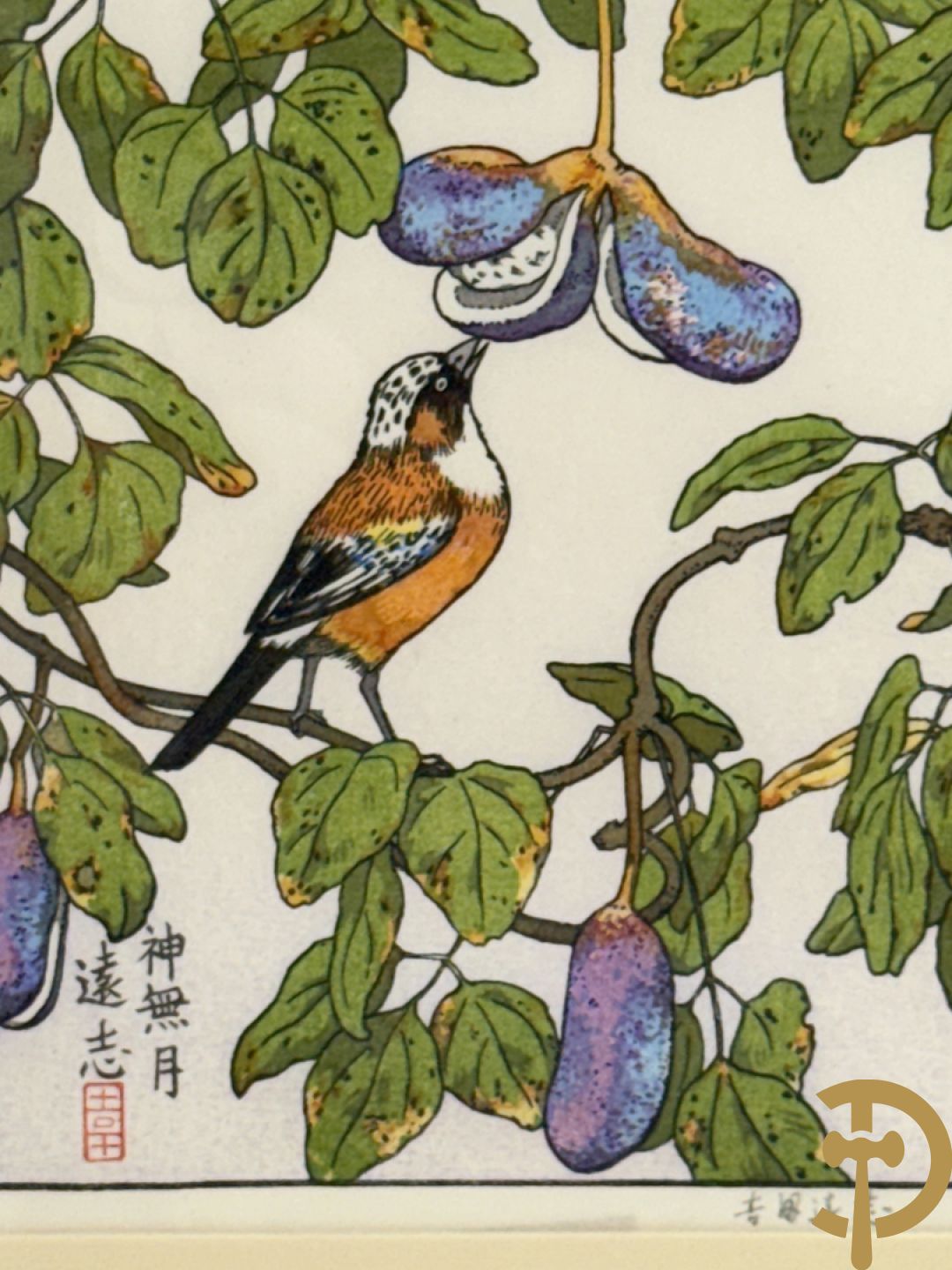 Zeven Japanse drukken met afbeeldingen van fauna en flora, gemaakt door The Franklin Gallery en getekend door Yoshida Toshi