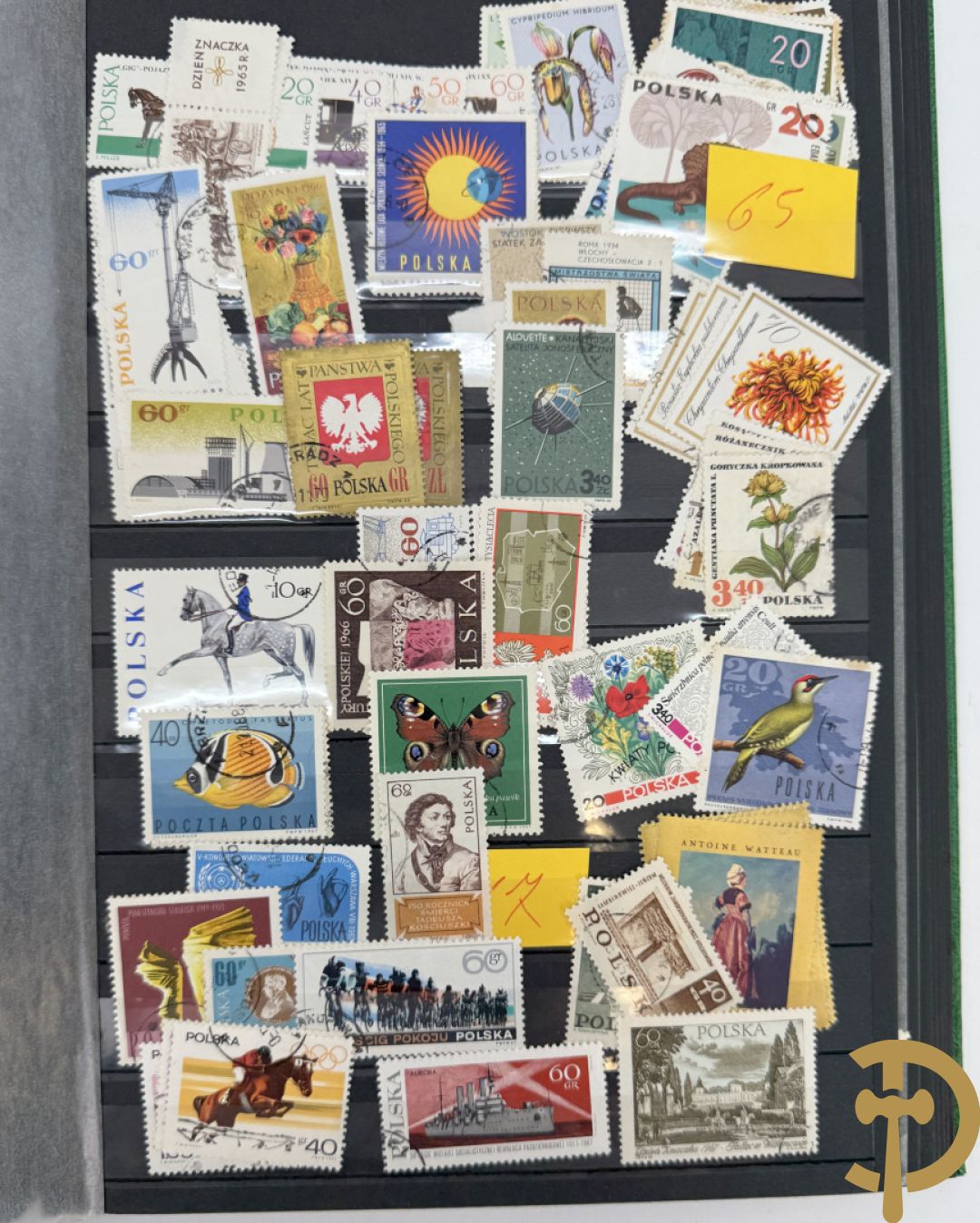 10 postzegelalbums van o.a. Duitsland, Congo, België, ... - Heel divers met veel zeldzame zegels