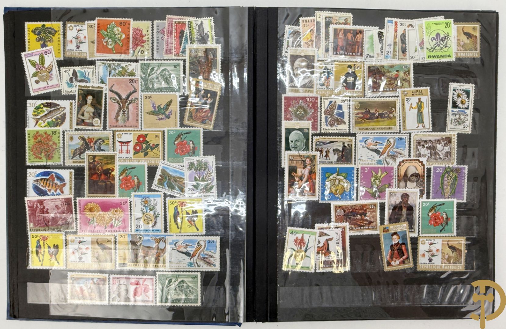 10 postzegelalbums van o.a. Duitsland, Congo, België, ... - Heel divers met veel zeldzame zegels
