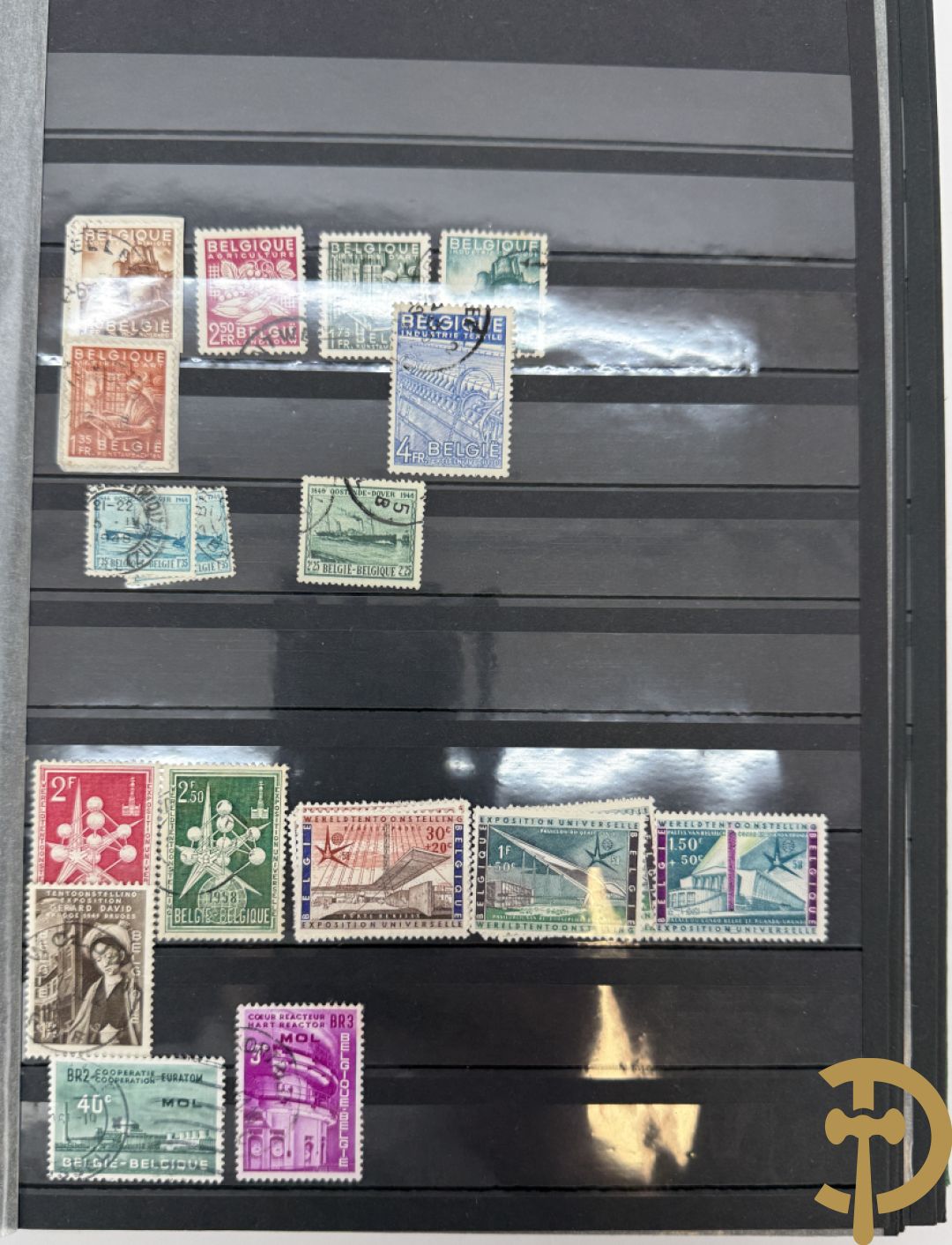 10 postzegelalbums van o.a. Duitsland, Congo, België, ... - Heel divers met veel zeldzame zegels