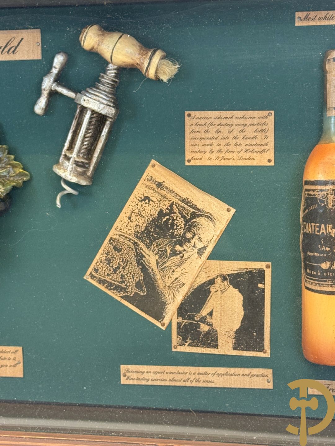 Display Wines of the world, kader met ingelijst decoratieve wijnornamenten