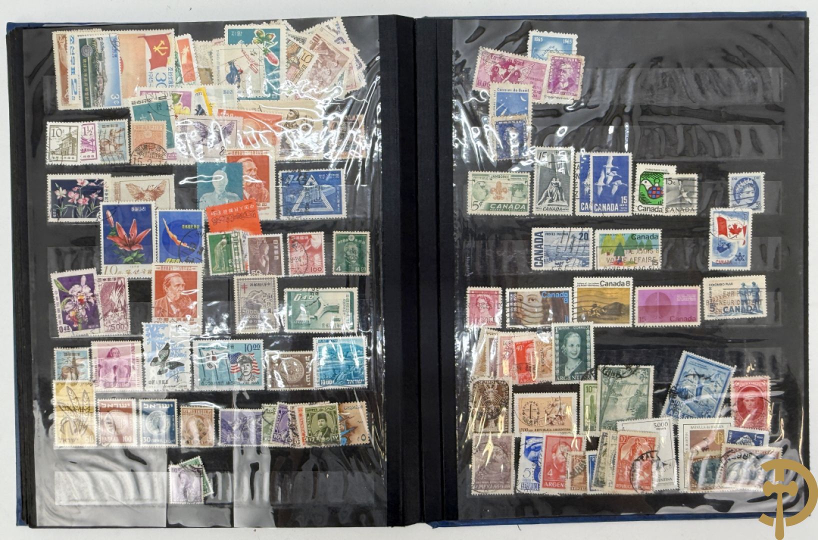 10 postzegelalbums van o.a. Duitsland, Congo, België, ... - Heel divers met veel zeldzame zegels