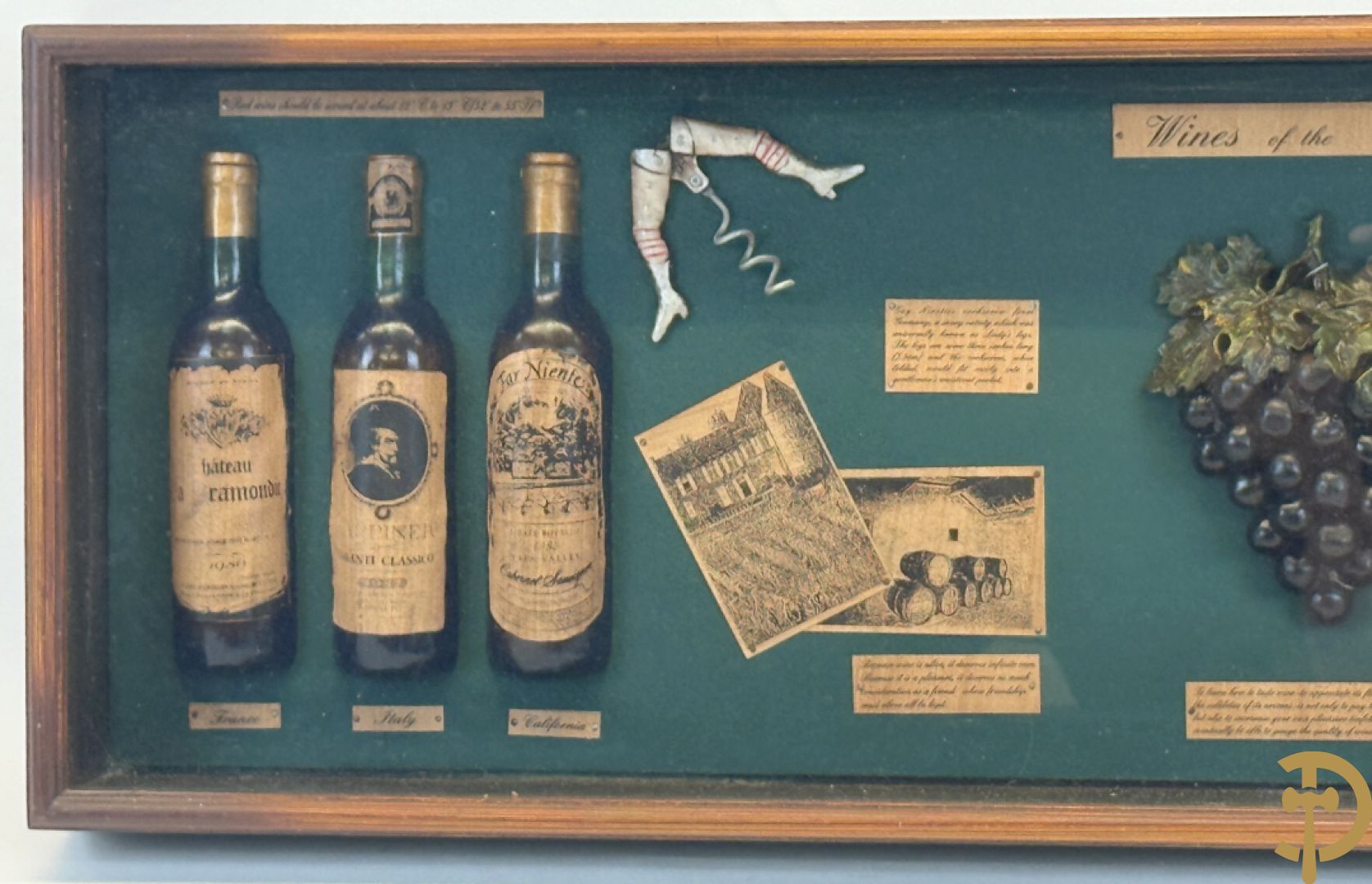 Display Wines of the world, kader met ingelijst decoratieve wijnornamenten