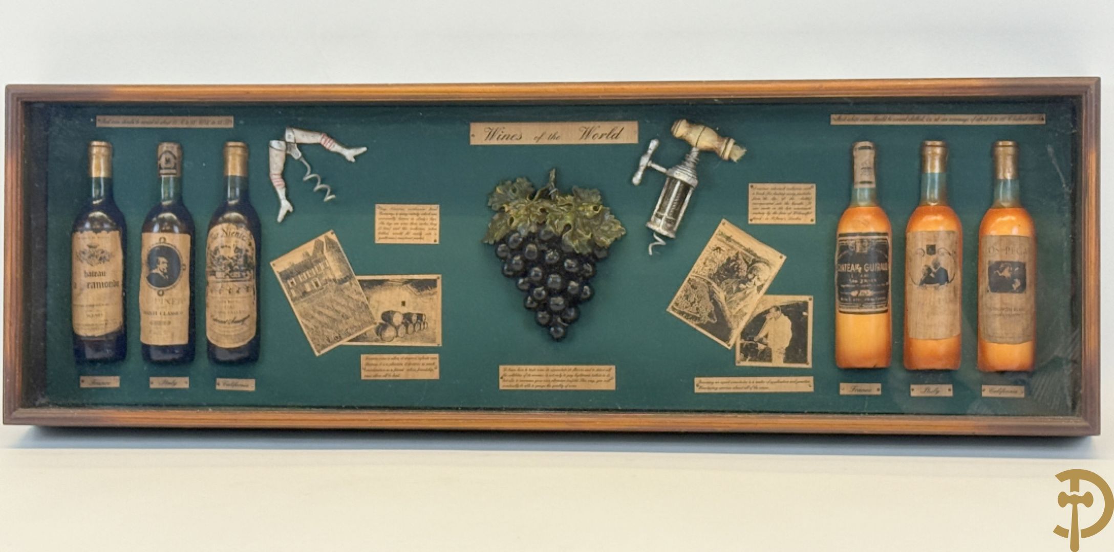 Display Wines of the world, kader met ingelijst decoratieve wijnornamenten