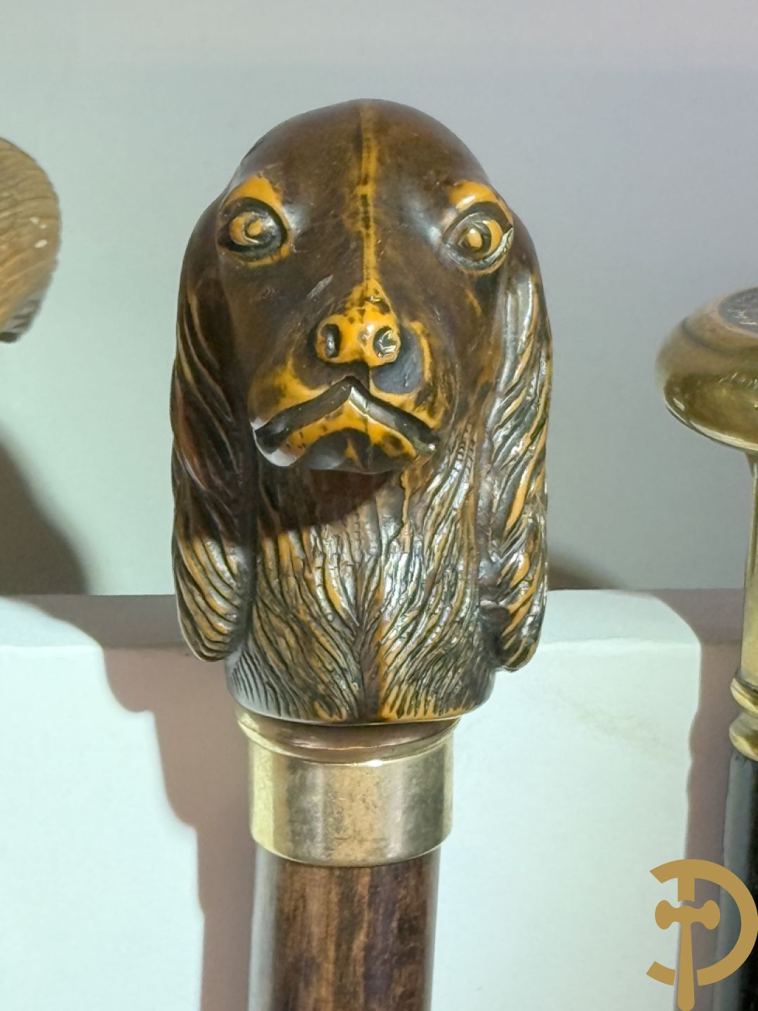 Zeven wandelstokken waaronder 2 met munten, hondenkop, gesculpteerde