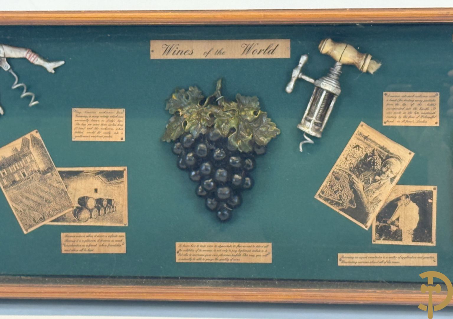 Display Wines of the world, kader met ingelijst decoratieve wijnornamenten