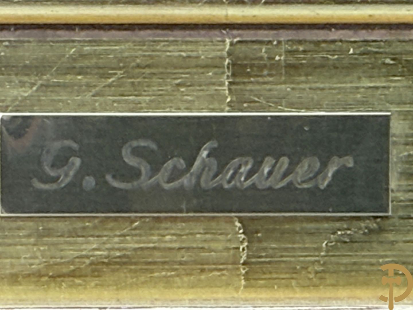 SCHAUER getekend 