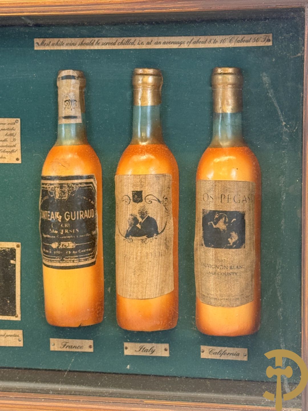 Display Wines of the world, kader met ingelijst decoratieve wijnornamenten
