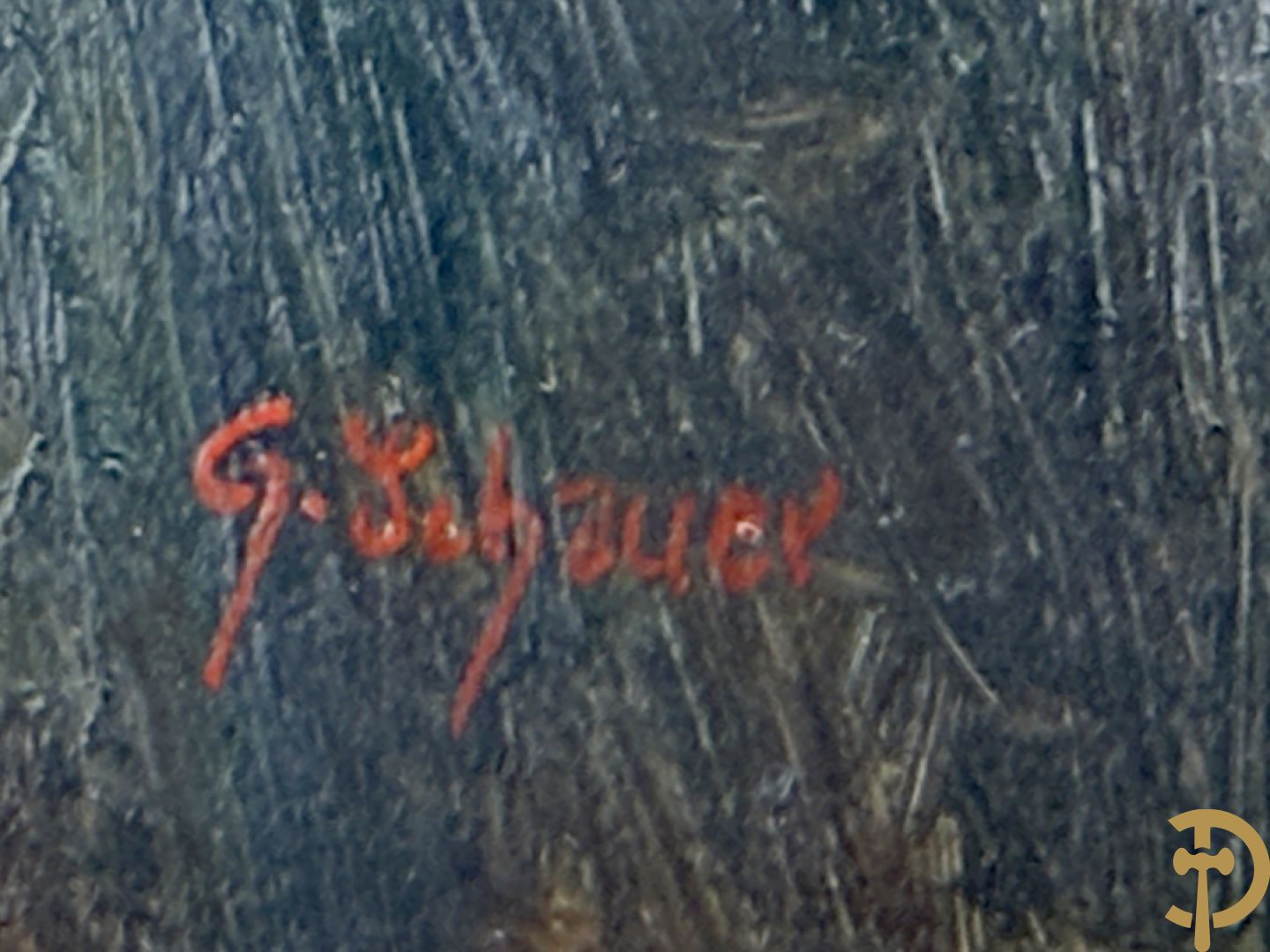 SCHAUER getekend 