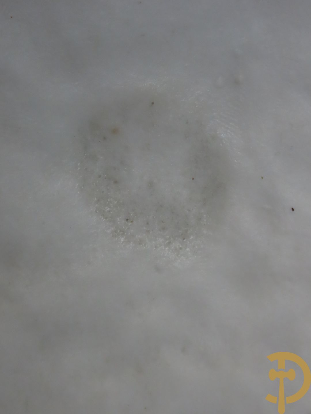 Paar grote witte biscuits van elegant koppel, onderaan gemerkt AM