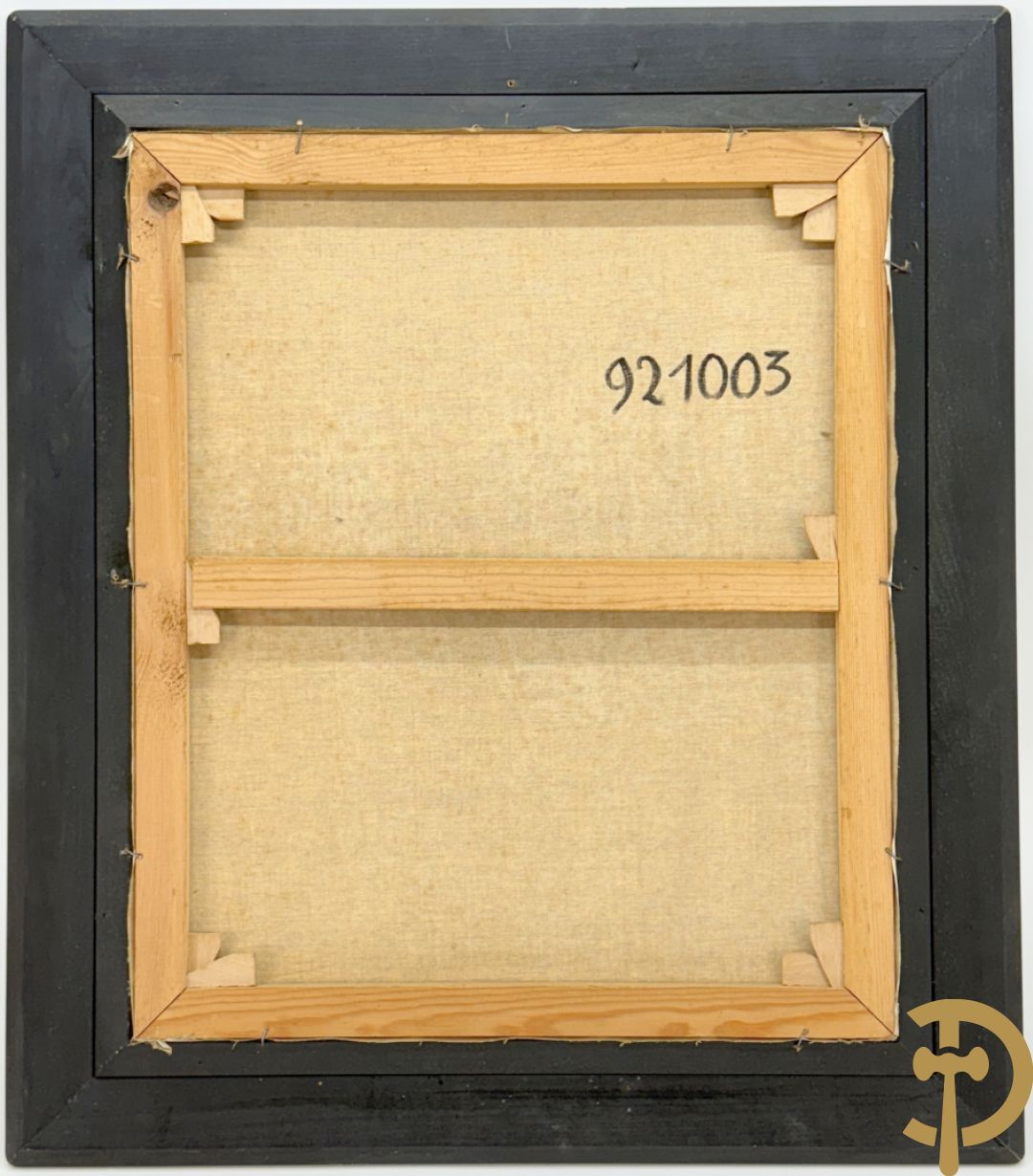 COSYNS Gies getekend 