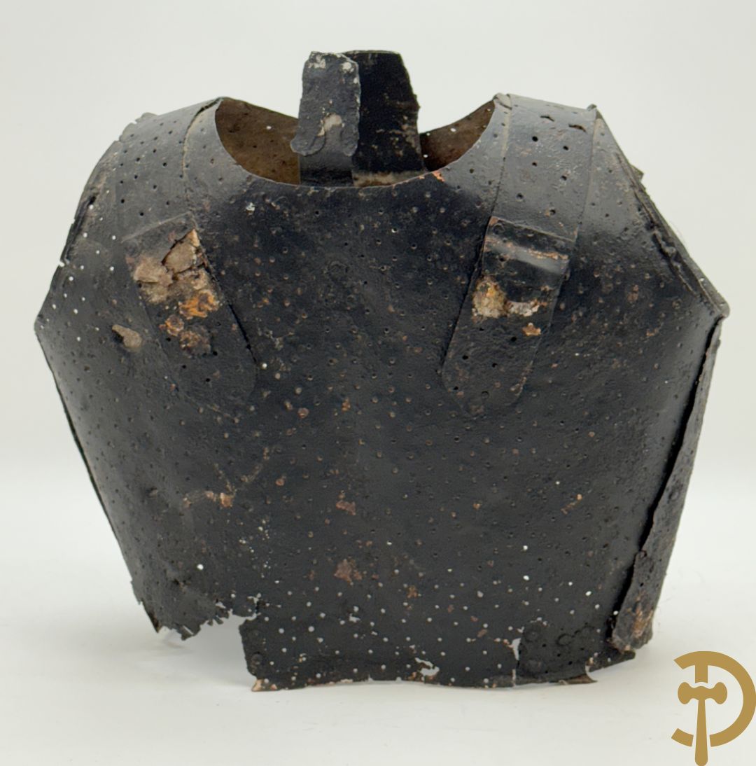 Metalen 19e schermharnas