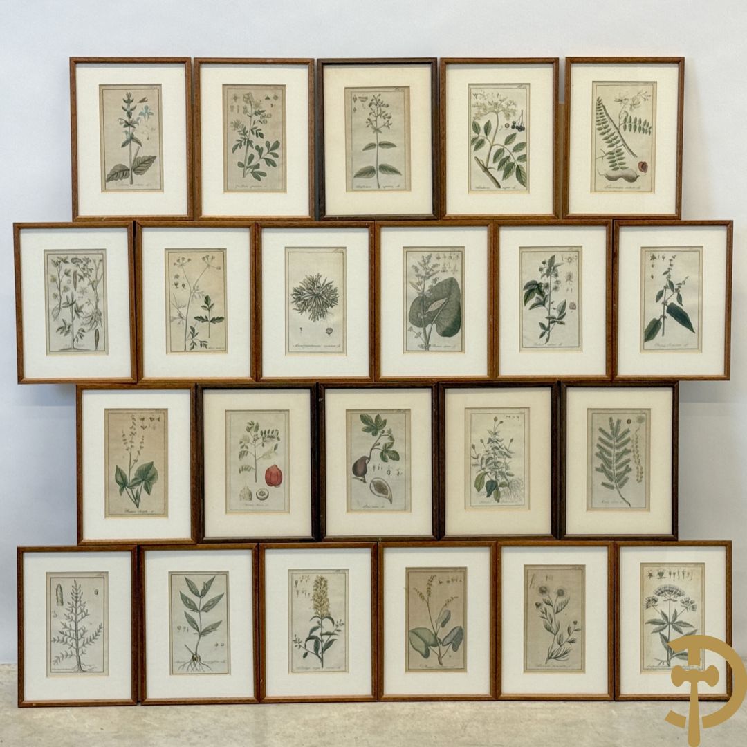 LEITNER J.S. fecit  - Set oude gravures met ingelijste medicinale planten