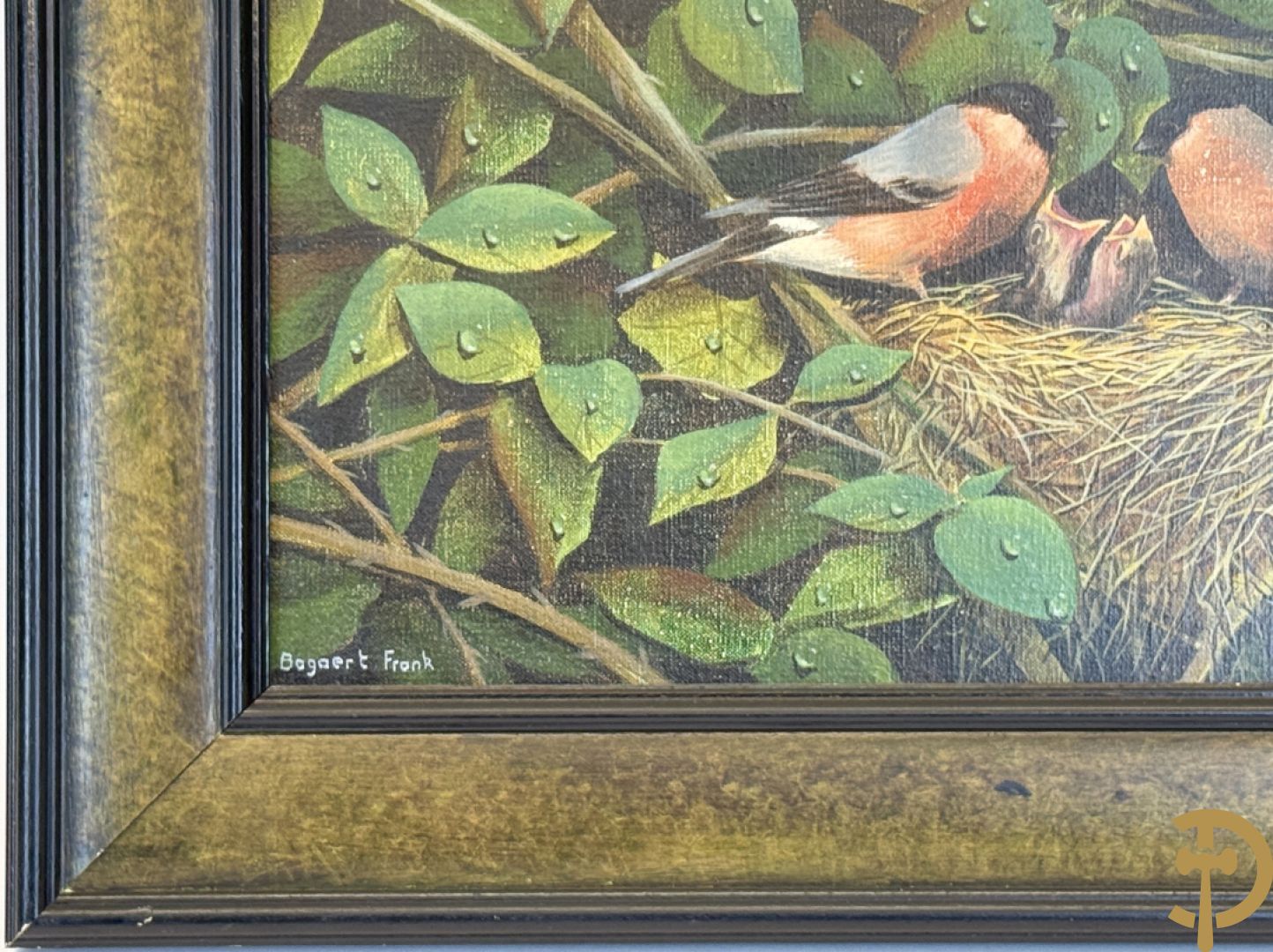 BOGAERT Frank getekend 