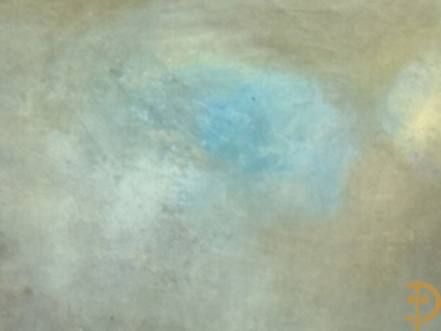 FREYBERG Conrad getekend 