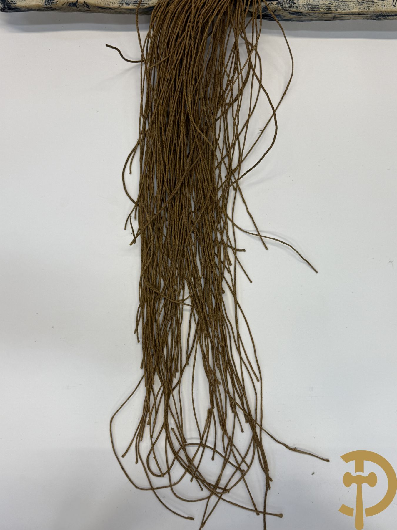 VIOTTI Ulla getekend 