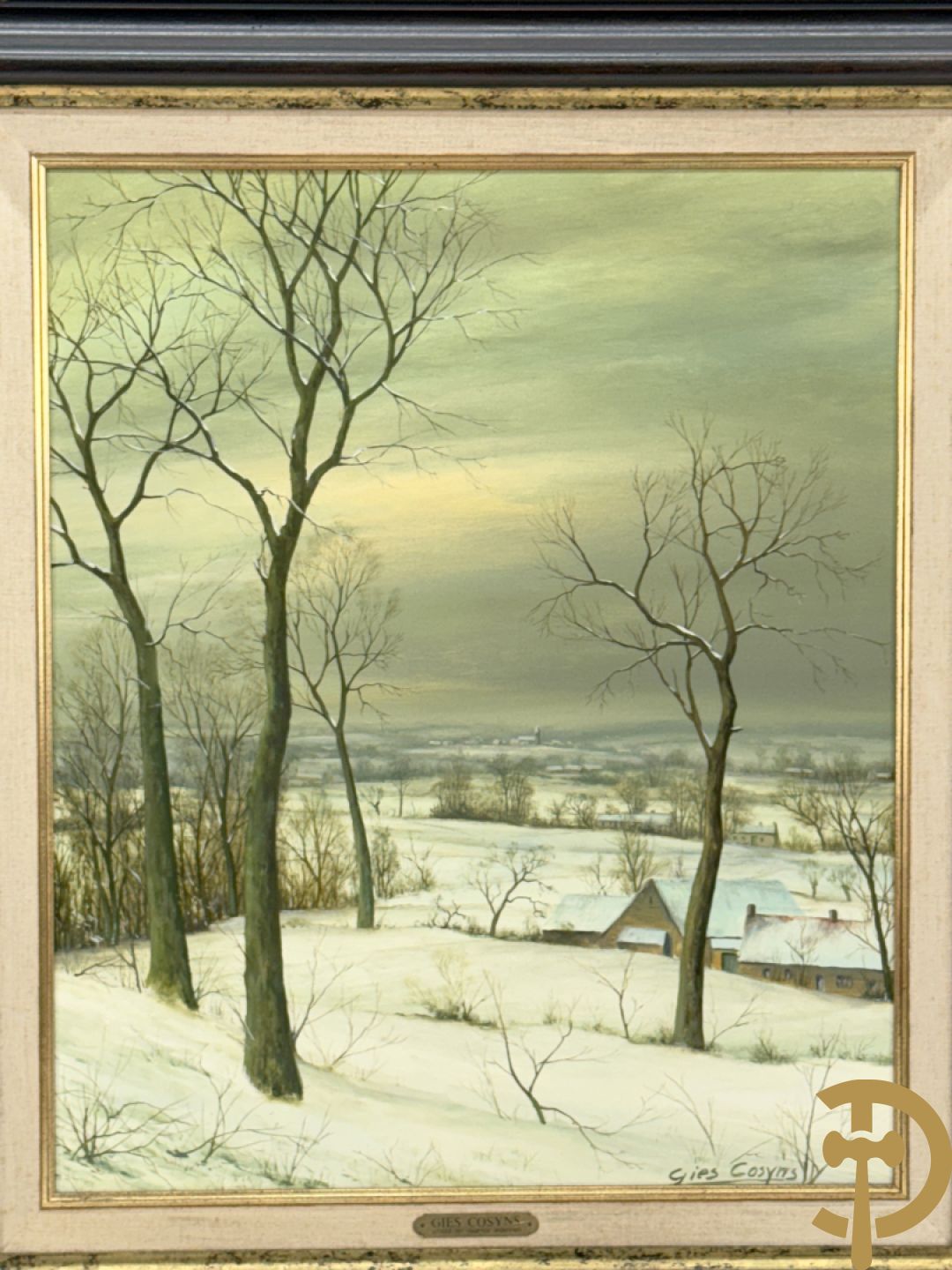 COSYNS Gies getekend 