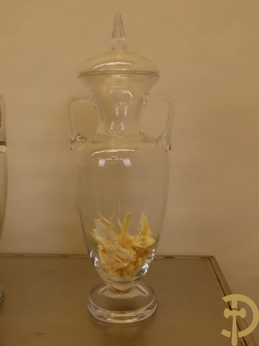 VANMECHELEN Koen 2008 