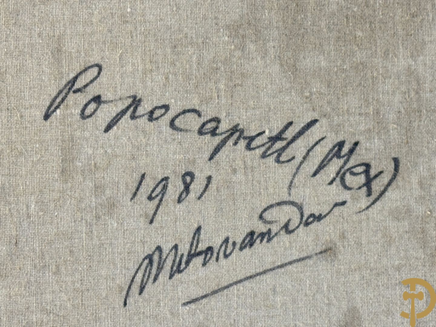 VAN DAELE Nico getekend verso 1981 