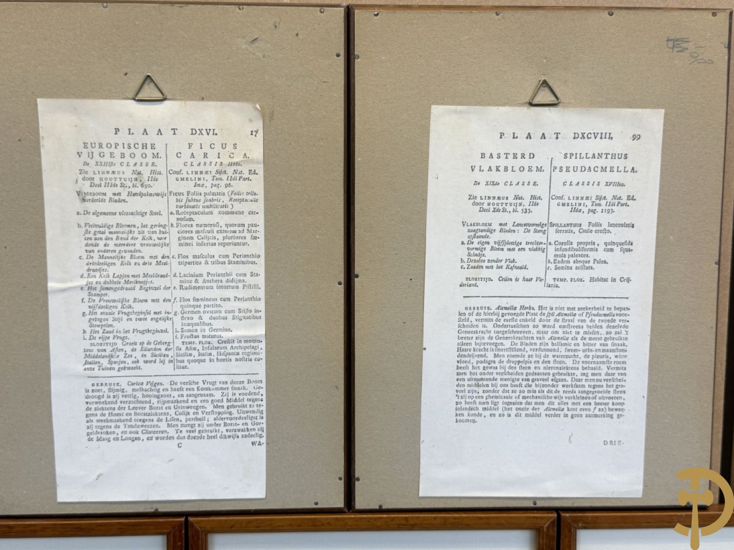 LEITNER J.S. fecit  - Set oude gravures met ingelijste medicinale planten