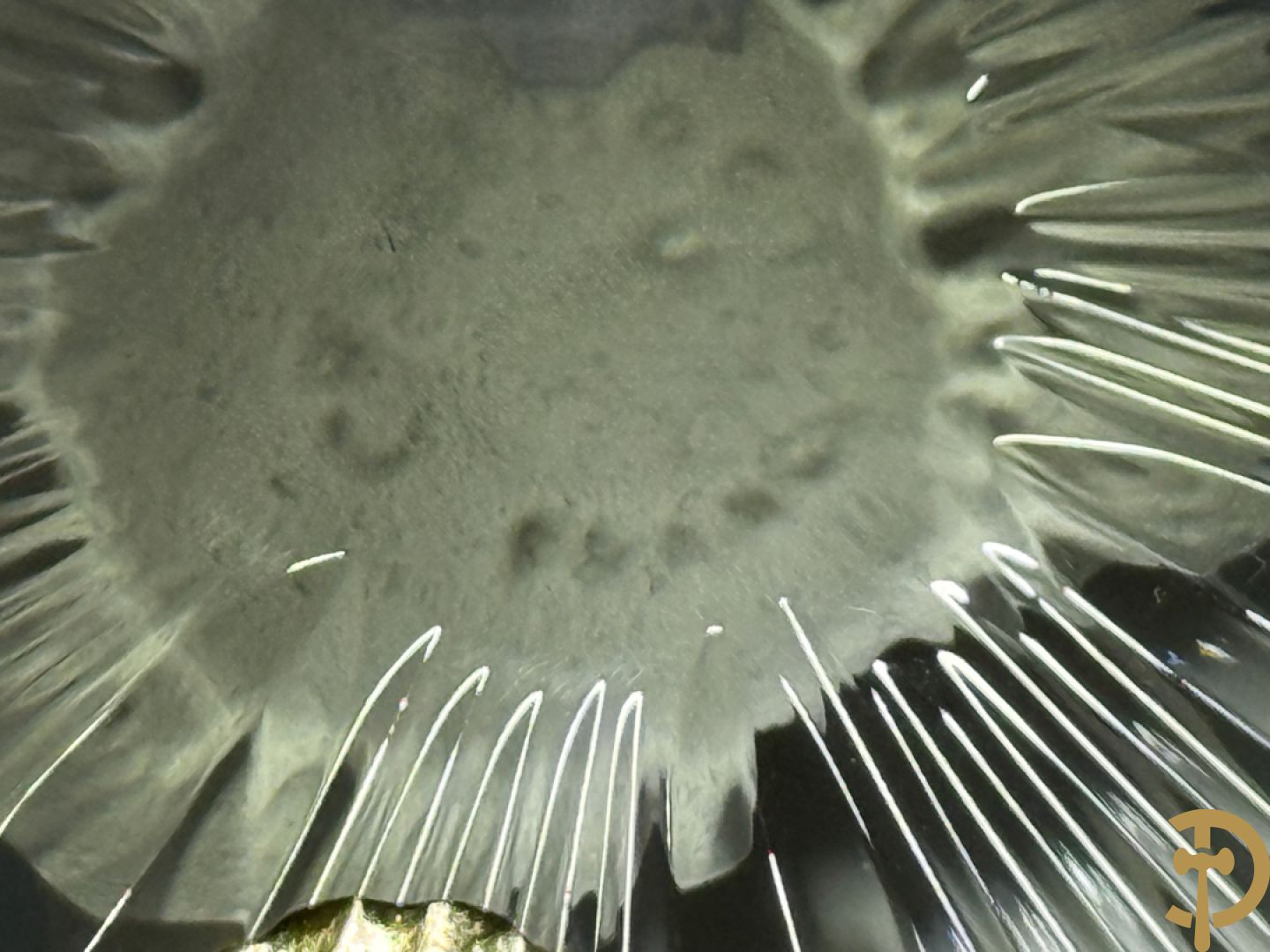 Twee presse papiers van Cristallerie d