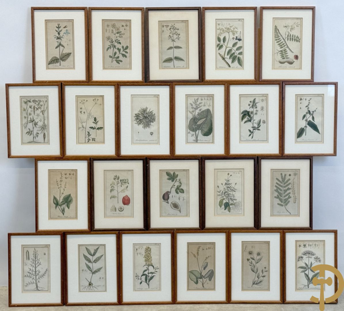 LEITNER J.S. fecit  - Set oude gravures met ingelijste medicinale planten