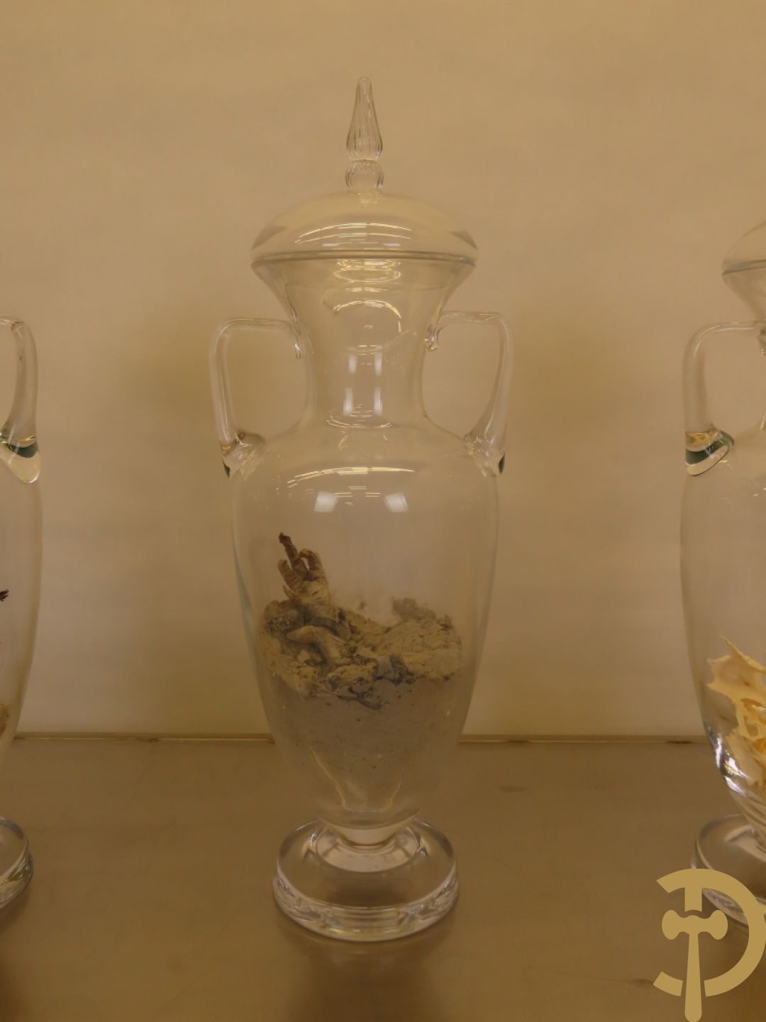 VANMECHELEN Koen 2008 