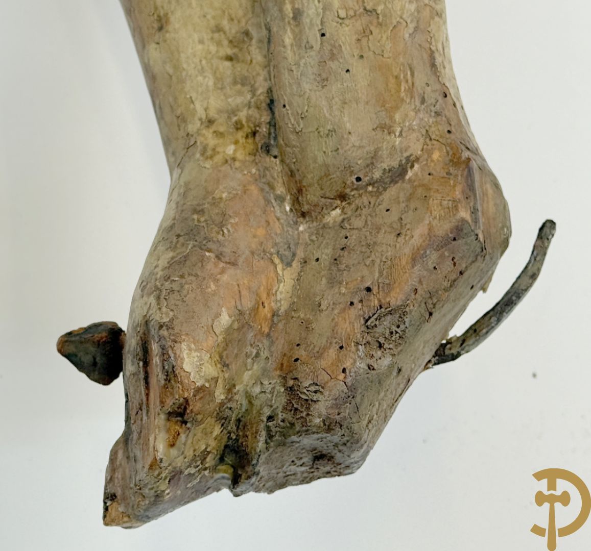 Antieke houtgesculpteerde gepolychromeerde Christus met lenden doek, zonder armen, 16e-17e ?