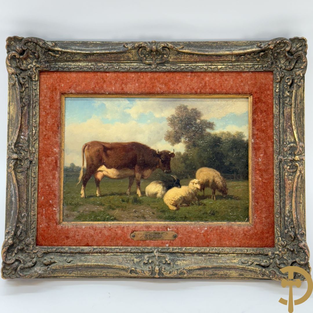 ROBBE getekend links 