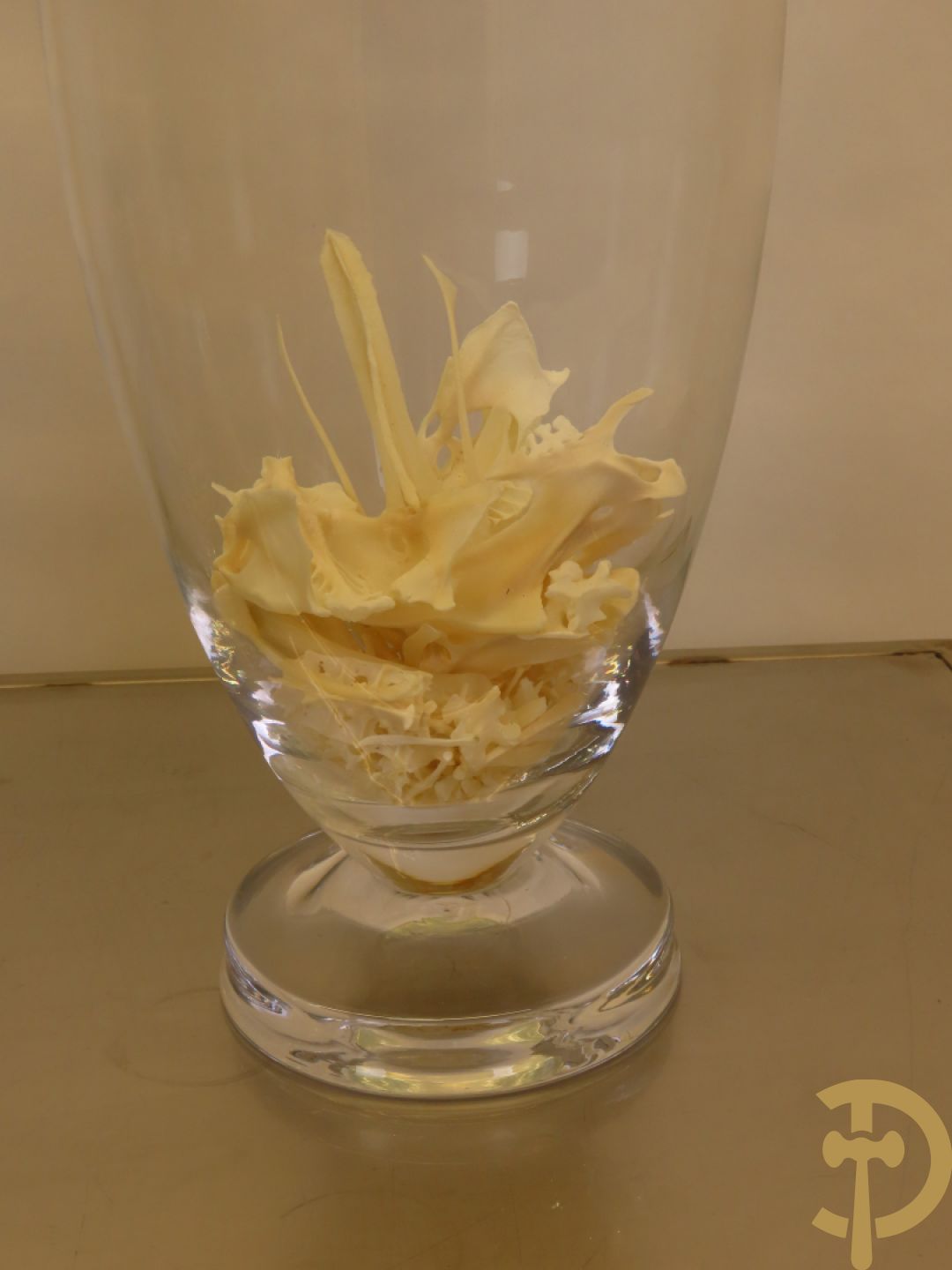 VANMECHELEN Koen 2008 