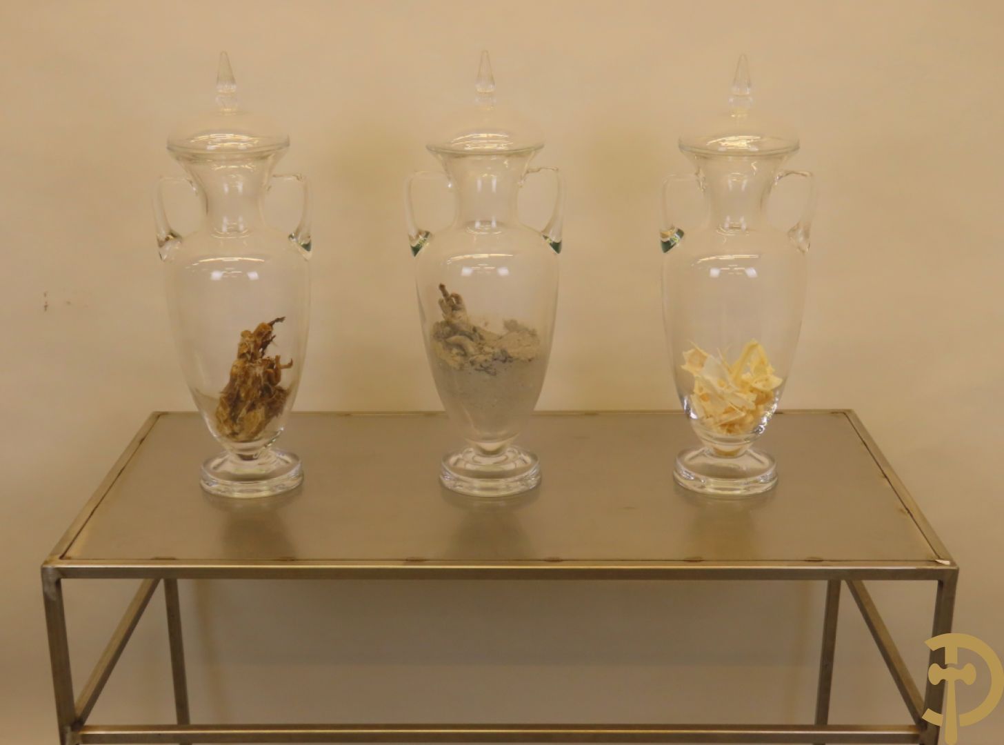 VANMECHELEN Koen 2008 