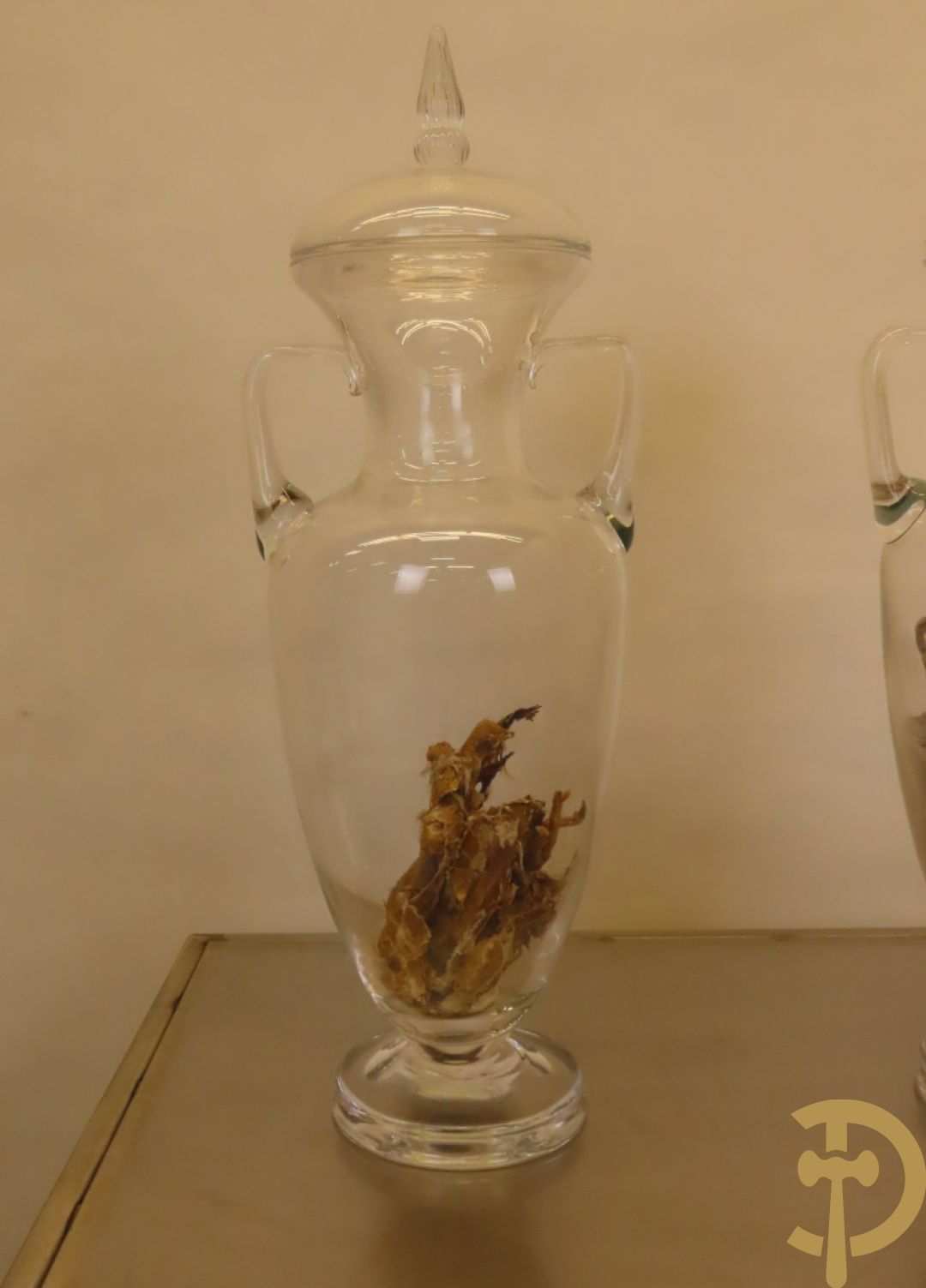 VANMECHELEN Koen 2008 